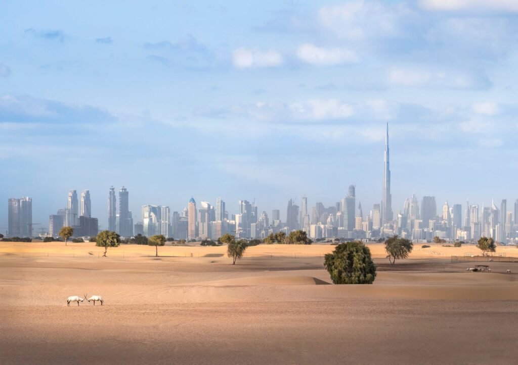 How a Quiet Legal Reform Just Gave UAE Founders the Tools Silicon Valley Investors Expect